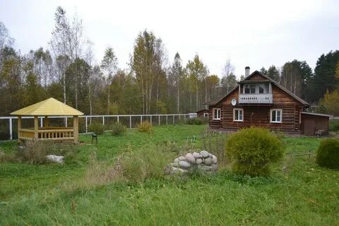 Прогноз петровское ленинградская область