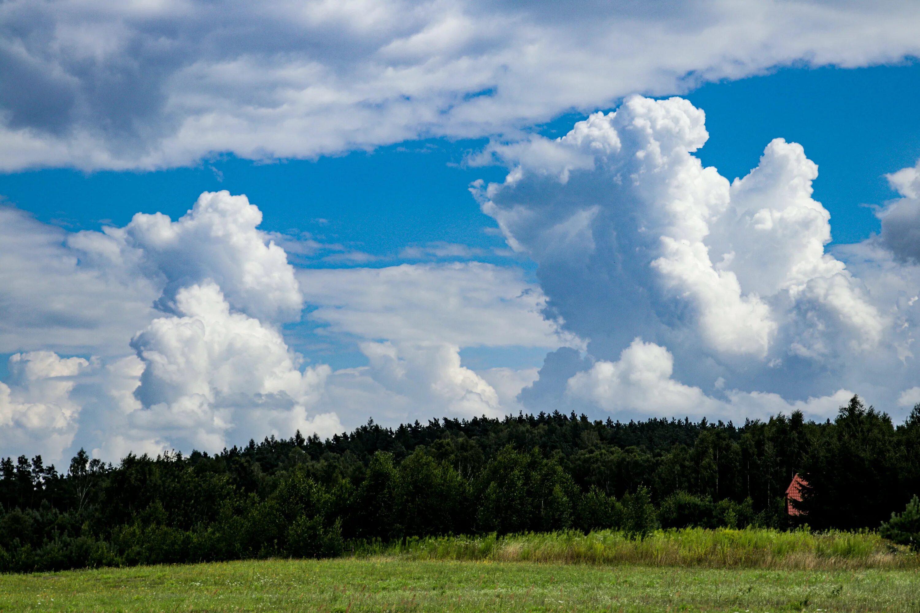 Облачко фото. Кучевые облака. Высокие Кучевые облака Крыму. Кучево-дождевые облака. Кучевые облака облака.