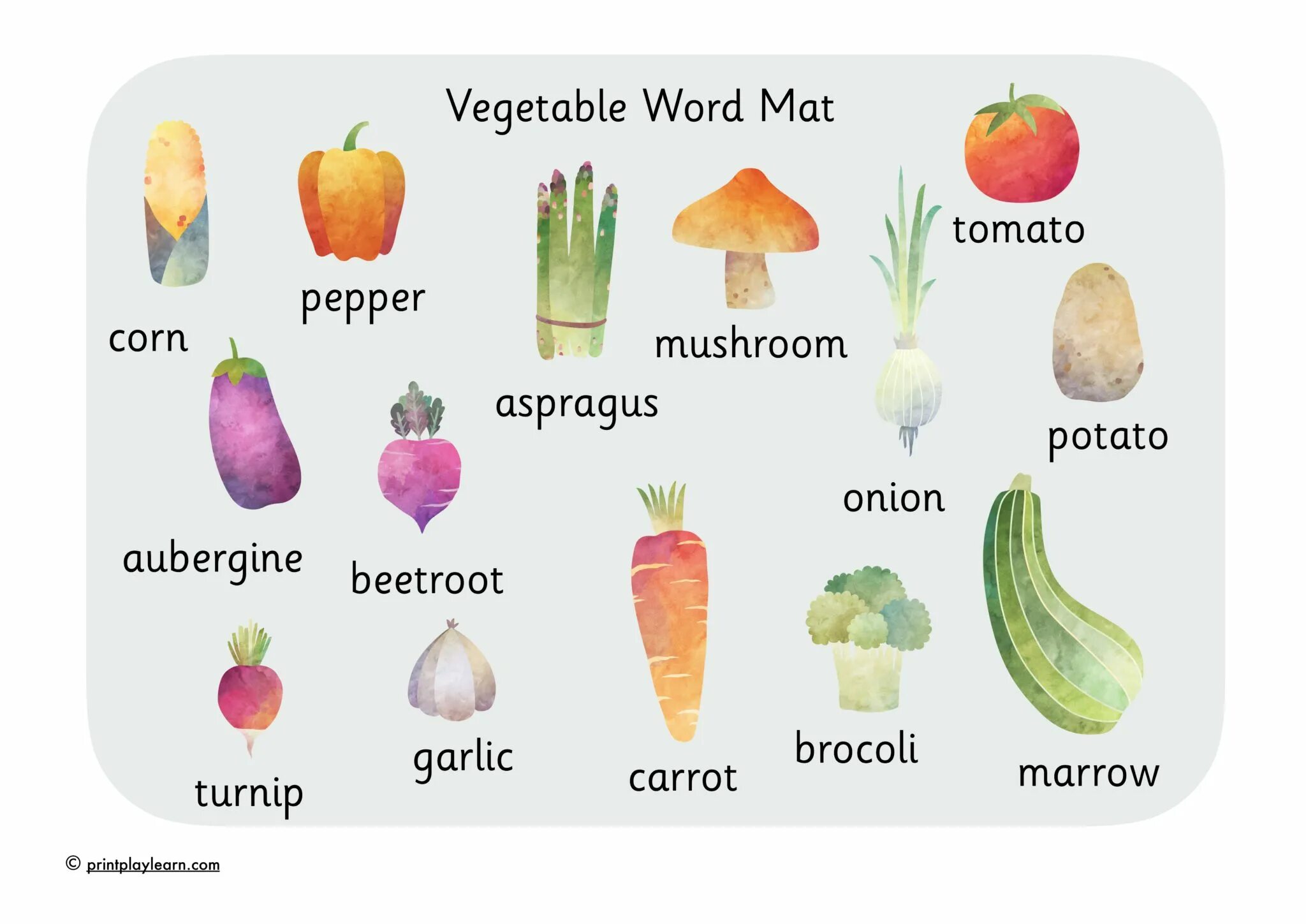 Vegetables learn. Vegetables Words. Vegetables wrds. Parts of Vegetables. Vegetables надпись.