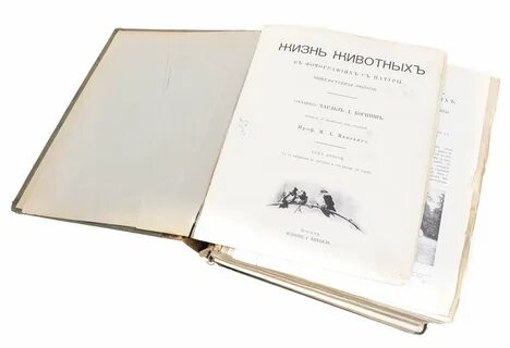 Метод м о кнебель