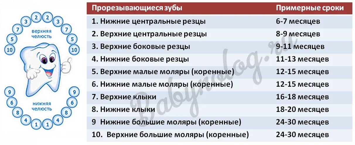 Срок 10 и 3 дня