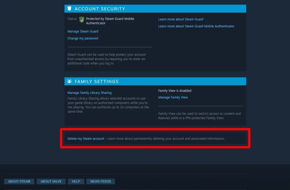 Steam must be started. Deleted стим. deleted account steam. account security steam. steam-account founder.