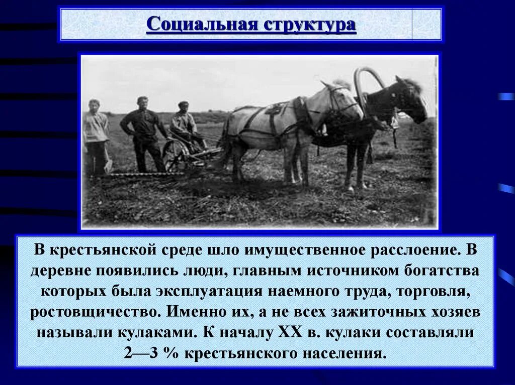 Крестьянское в России в начале 20 века. Крестьяне в начале 20 века. Крестьяне в России в начале 20. Социальное положение крестьян.