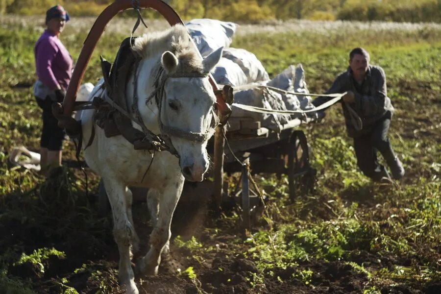 Village работа. Живая деревня. Эстонская деревня. Эстонские деревни в Сибири. Эстонские деревни фото.