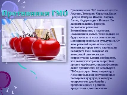 Мнение противники
