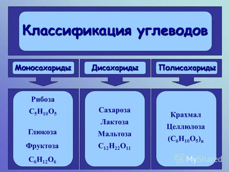 Классификация углеводов класс