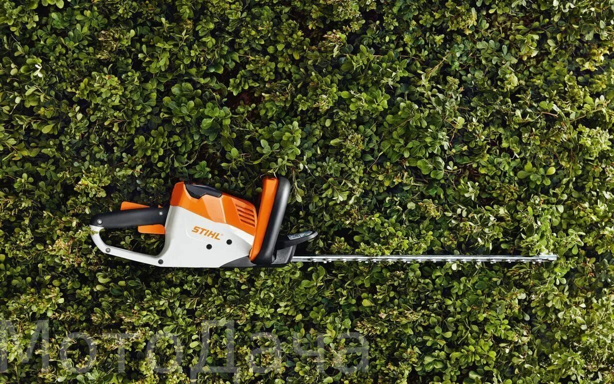 Stihl HSA 56. Кусторез Stihl HSA 56. Мотоножницы HSA 56 Stihl. Stihl HSA 45. Штиль 56