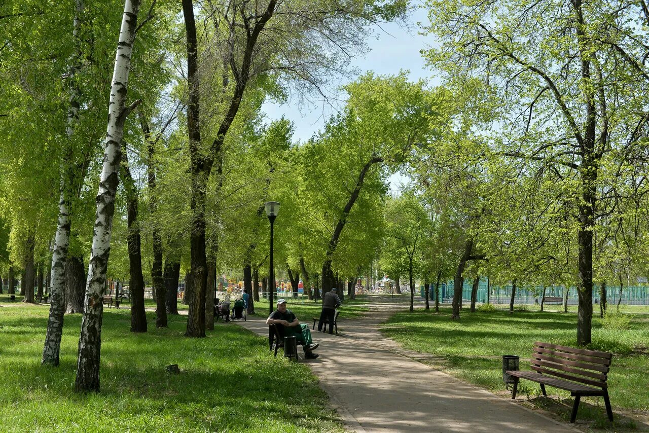 Парк Южный Воронеж. Скверы Воронежа. Воронежский Центральный парк, Воронеж. Парк культуры Воронеж.