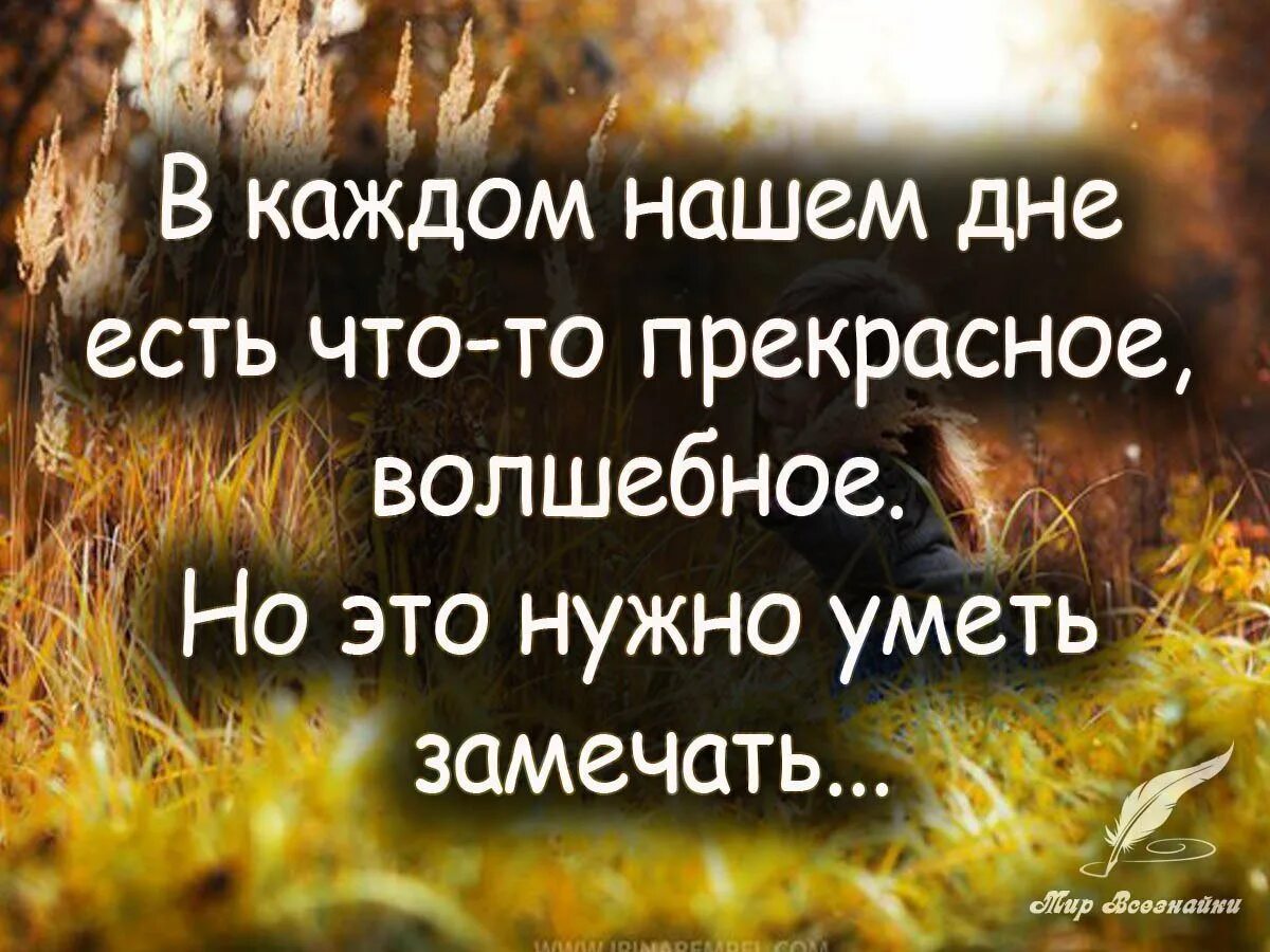 Добрые мудрые картинки. Позитивные цитаты. Цитата дня. Позитивные фразы. Мудрые мысли на каждый день.