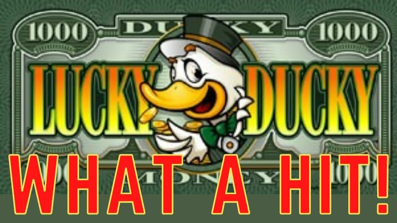 Дак казино. Lucky Duck казино. Lucky Duck игра.