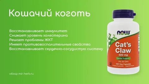 Кошачий коготь для чего