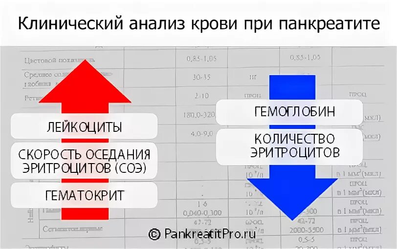 Как проверить поджелудочную железу какие анализы сдать. Хронический панкреатит биохимический анализ крови. Поджелудочная железа показатели биохимического анализа. Хронический панкреатит показатели крови. Анализ крови при панкреатите.