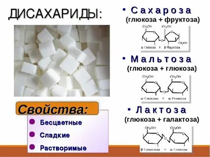Мономеры глюкозы и фруктозы