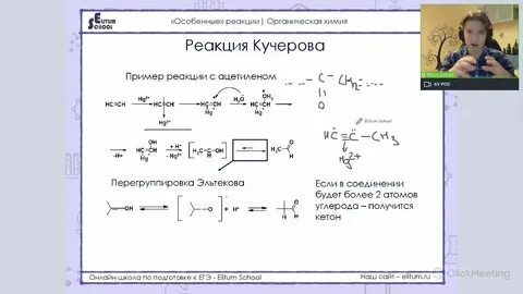 Студариум егэ по химии