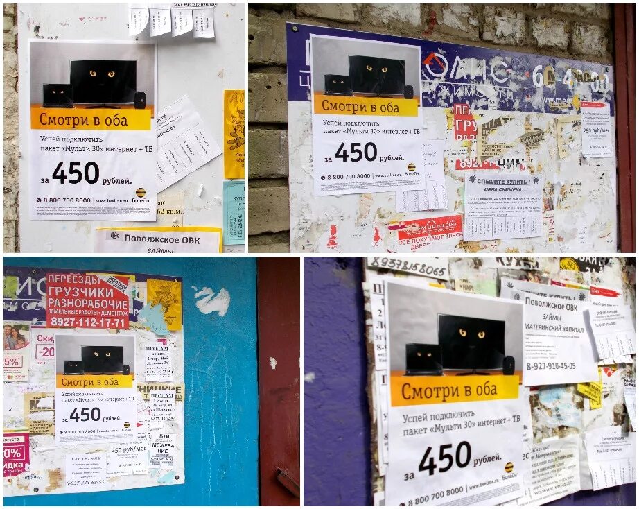 Флаеры листовки. Номер листовки. Объявление раздача листовок. Работа для детей 12 лет. Номер листовки.