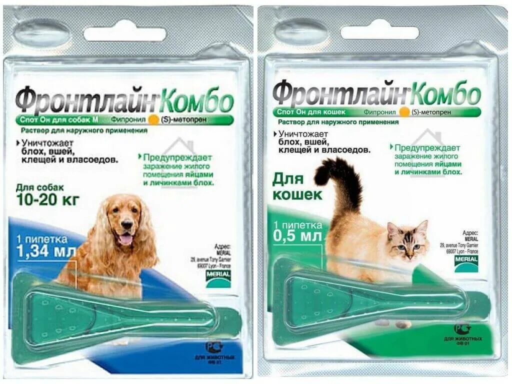 Спот он от клещей