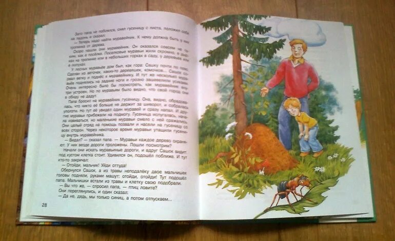 Ягодкин гнездо для аиста. Плетем гнездо для аиста. Гнездо для аиста ягодкин. Ягодкин гнездо для аиста главные герои. Гнездо для аиста ягодкин.