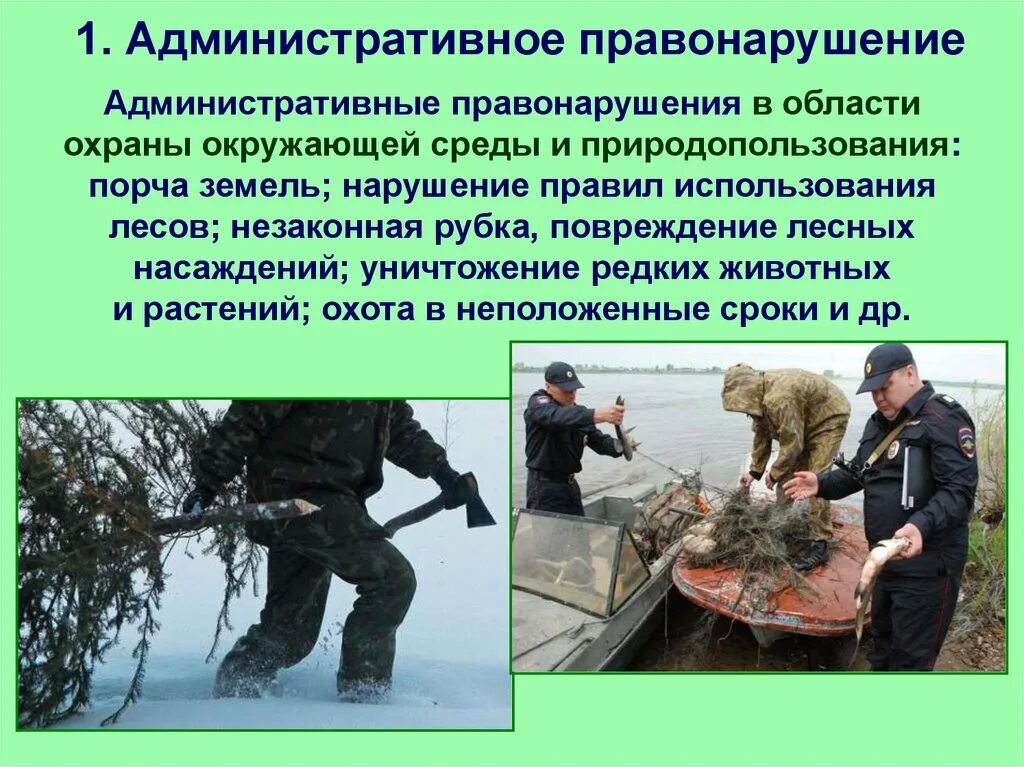 Правонарушения в сфере природопользования. Правонарушения в области охраны окружающей среды. административное правонарушение. административные правонарушения в области охраны окружающей среды. виды экологических правонарушений.