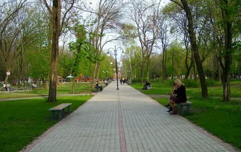 Торез отзывы