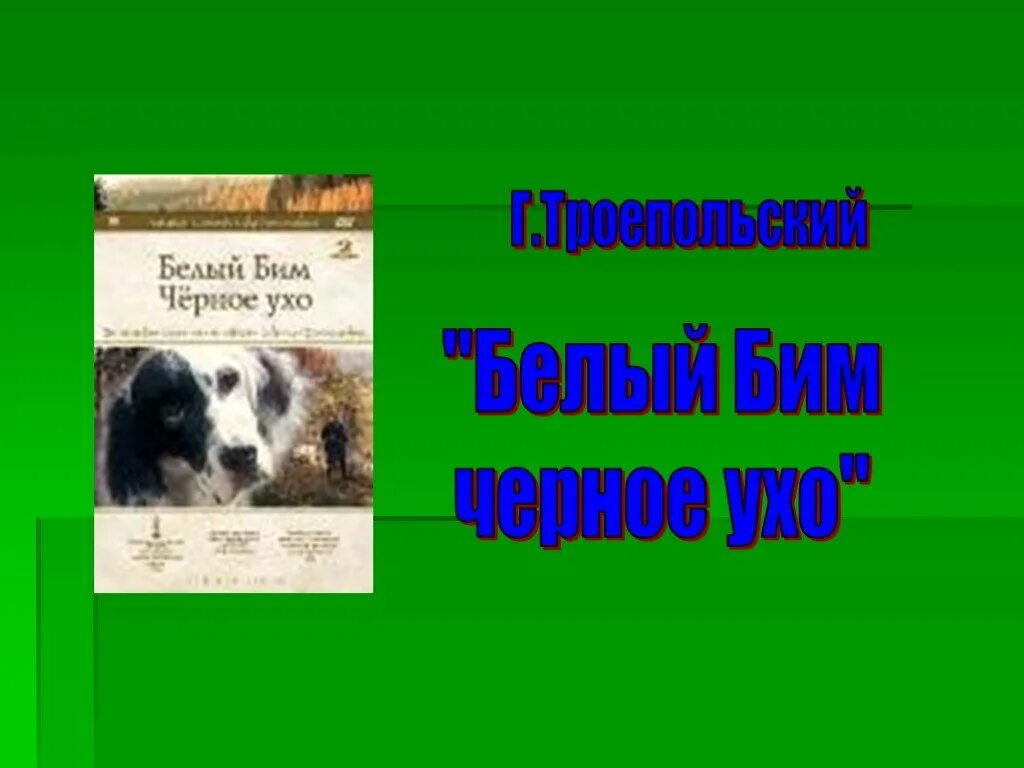 Белый бим черное ухо слушать краткое. Белый Бим черное ухо. Белый Бим черное ухо презентация. Белый Бим черное ухо презентация 6 класс. Бим чёрное ухо книга.