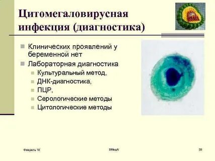 Цмв инфекция