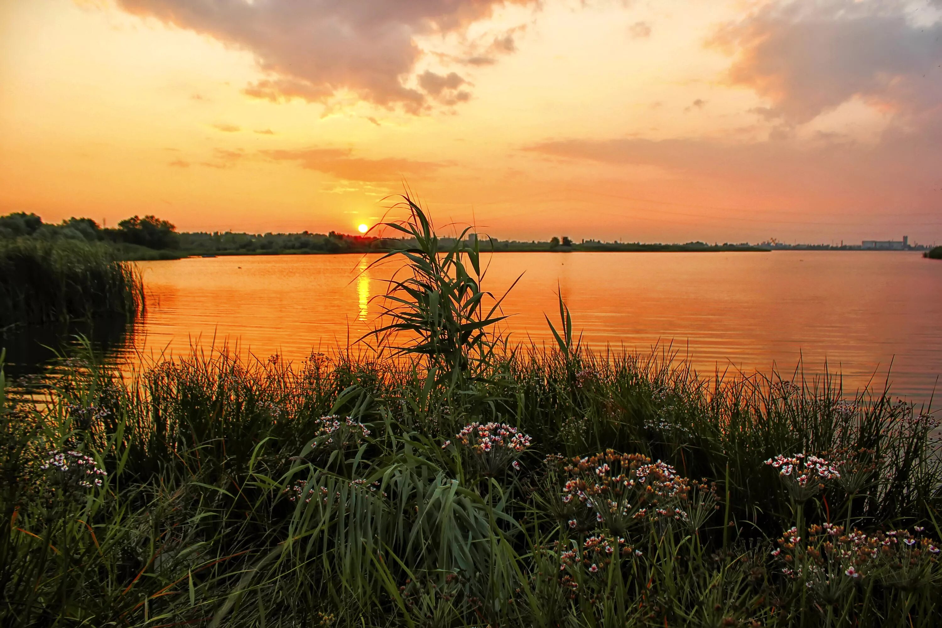 Природа плавней. Закат на реке. Вечерз на берегк у реки. Летний закат на реке. Лето речка.