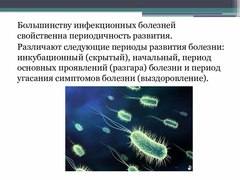 Инфекционные заболевания презентация. Инфекционные заболевания презентация по ОБЖ. Возникновение инфекционного заболевания ОБЖ. Периодичность инфекционных заболеваний. Специфический возбудитель инфекционного заболевания