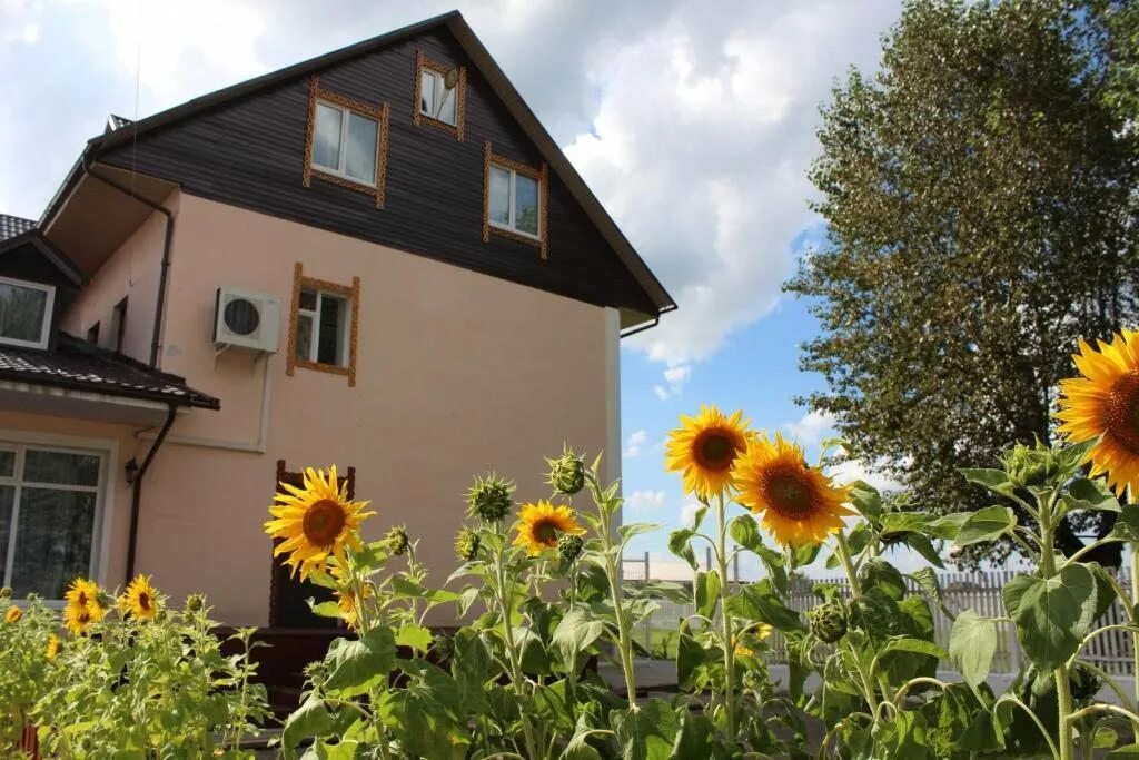 Подсолнух рыбалка коломна. Подсолнух коломна. Подсолнух коломна. Подсолнух коломна. Парк коломенское подсолнухи.