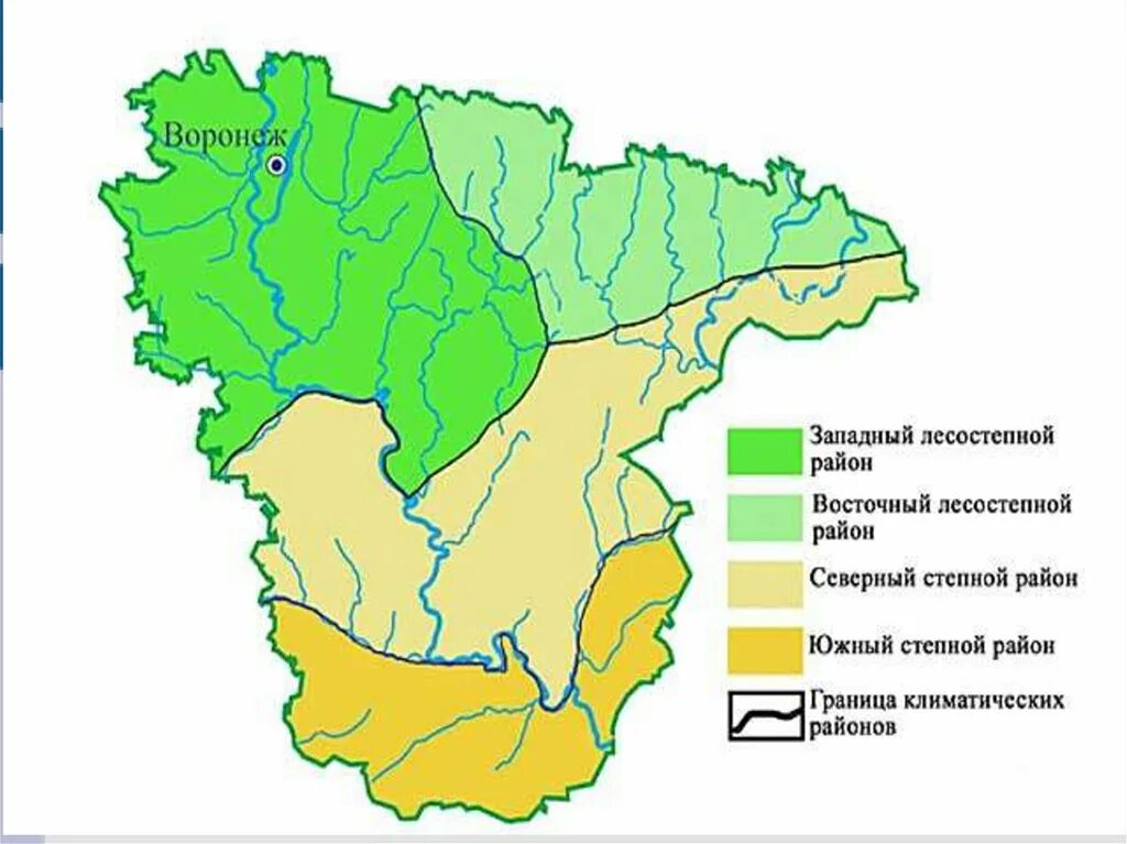 Карта Воронежской области природные зоны. Климатические зоны Воронежской области карта. Климат Воронежской области карта. Климатический климат Воронежской области.