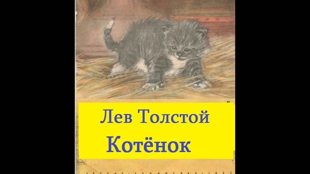 Толстой л. Лев николаевич толстой произведение котенок. Главные герои рассказа котенок. Главные герои рассказа котенок. Котенок отважное сердце усатик или отважное сердце.