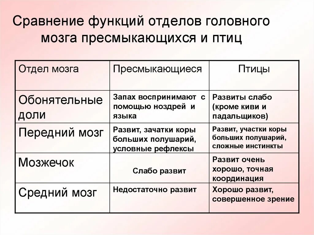 Сравнение строения головного мозга птиц и пресмыкающихся. Функции отделов головного мозга птицы таблица. Сравнительная характеристика земноводных и пресмыкающихся мозг. Функции отделов головного мозга пресмыкающихся. Главные черты отличия птиц от пресмыкающихся