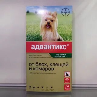 Собака раствор