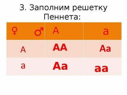 Решетка пинета