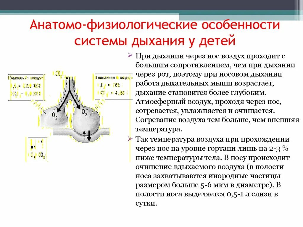 Анатомо физиологическая система. Афо органов дыхания новорожденного. Физиологические особенности дыхания у детей. Афо системы дыхания у детей. Анатомо-физиологические особенности дыхательной системы у детей.