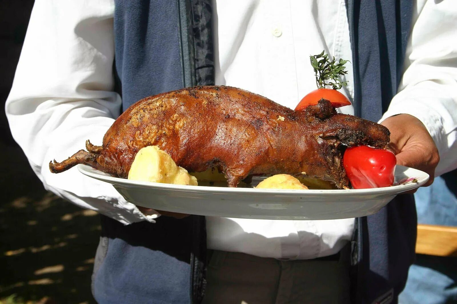 Приготовленная морская свинка. Жареная морская свинка. Морская свинка куи блюдо. Морские свинки в боливии. В какой стране едят морских свинок.