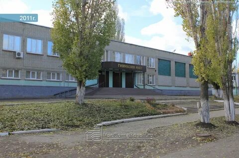 Гимназия 87