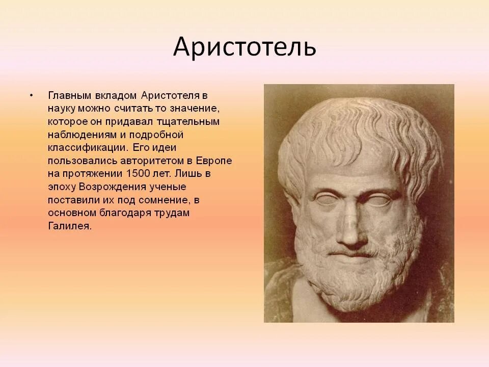 Древняя Греция Аристотель. Аристотель древнегреческий философ. Известные философы Аристотель. Аристотель вклад в науку. Мысль которая возникает первой называется