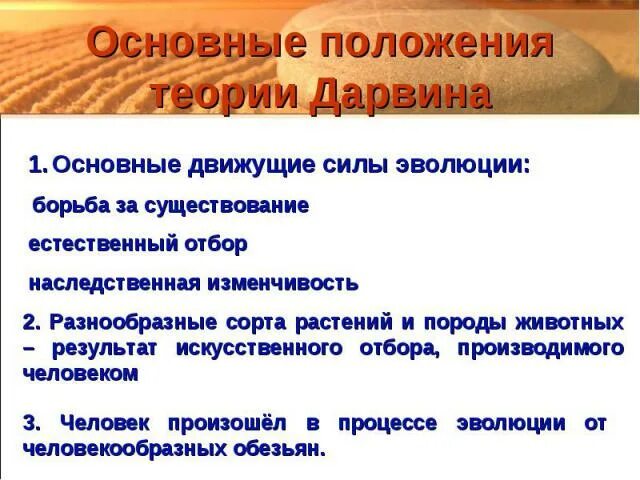 Теория дарвина движущие силы. Движущие силы эволюции наследственная изменчивость. Движущие силы эволюции борьба за существование. Движущие силы эволюции естественный отбор. Борьба за существование и естественный отбор движущие силы эволюции.