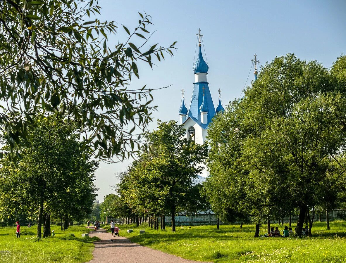 Средняя рогатка в санкт петербурге: найдено 88 изображений
