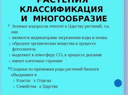Почему водоросли относят к низшим