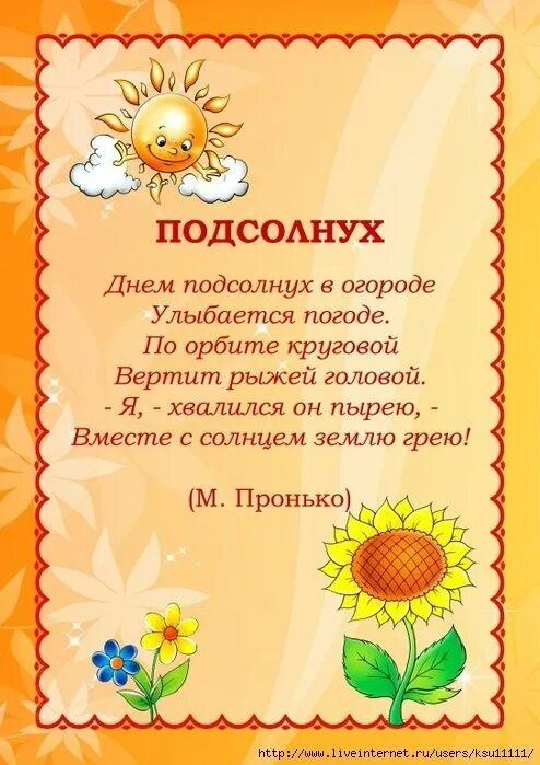 Подсолнушки текст