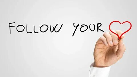 Did you follow your follow your