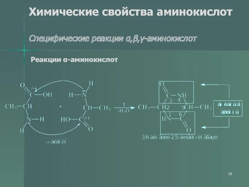 С чем реагируют амины. Химические свойства аминокислот. Химические свойства аминокислот в химии. Химические св ва аминокислот. Химическ ЕСВОЙСТВА Аминов.