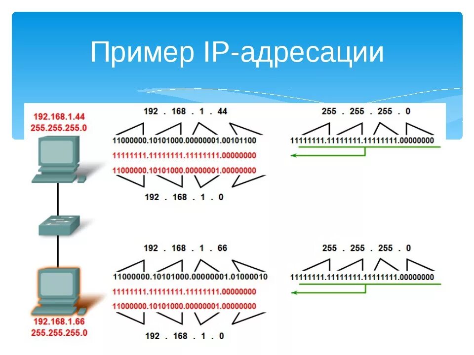 IP адрес схема. Глобальные сети IP адресов. Составные части IP адреса. Схема IP адресации. Сетевые адреса интернет