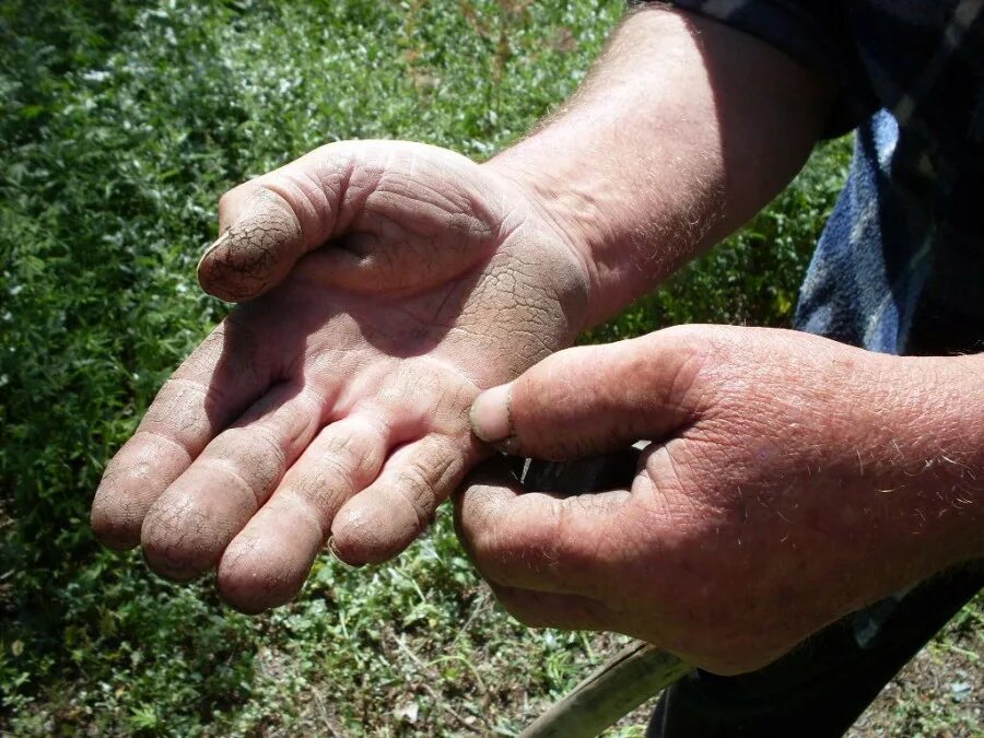 Грубые руки. Мужская кисть руки. Грубые руки. Красивые мужские руки. Красивые мужские кисти рук.