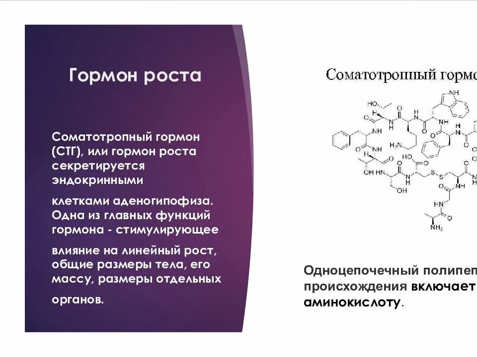 Строение соматотропный гормон (СТГ). Гормон роста химическая структура. Соматотропный гормон формула. Соматотропин функции гормона. Гормон роста белок
