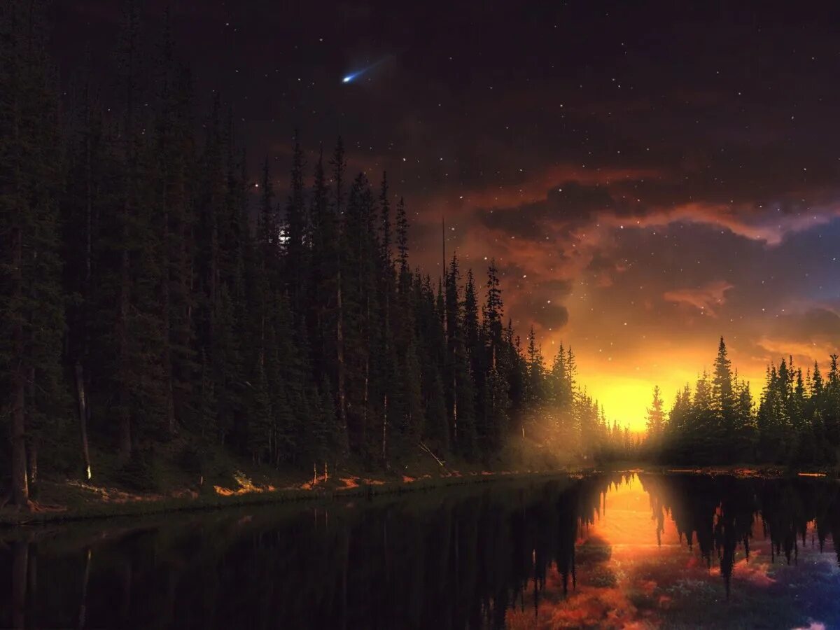 Лес ночью текст. Ночной пейзаж. природа ночью. «ночь в лесу». ночной лес.
