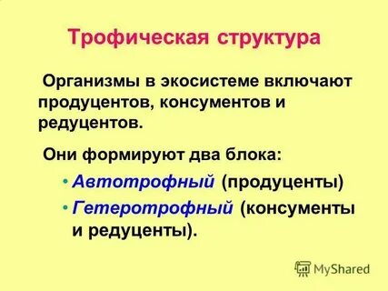 Гетеротрофные организмы редуценты