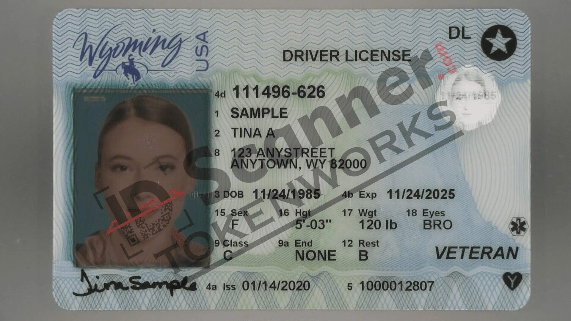 Licensing new. Wyoming Driver License. NY Driver License.