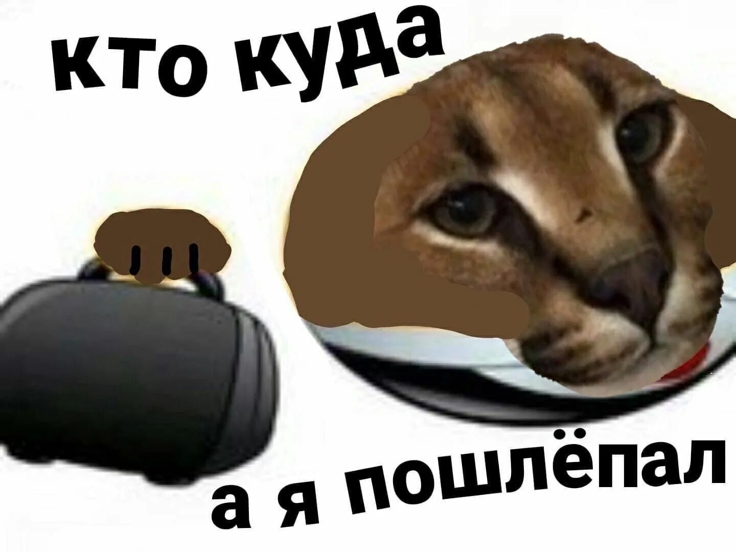 Кто куда а мы жениться. Кто куда а мы на свадьбу надпись. Наклейка на номер "свадьба". А у нас свадьба картинки. Кто куда входит.